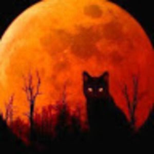 Meet your Posher, Student nina